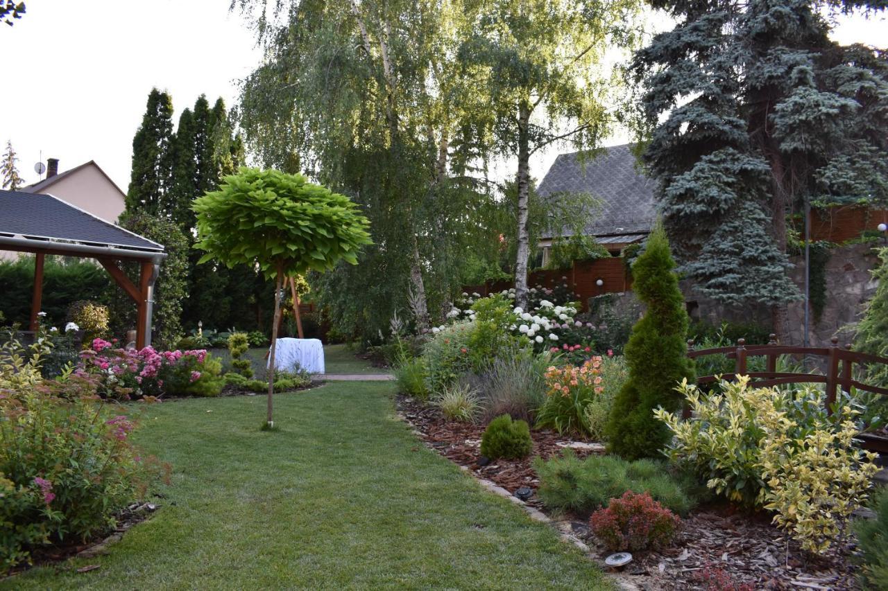 Bed and Breakfast Arnyas Panzio Goedoello Exteriér fotografie